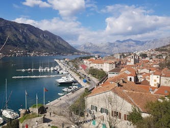 Visite privée guidée du Monténégro depuis Dubrovnik